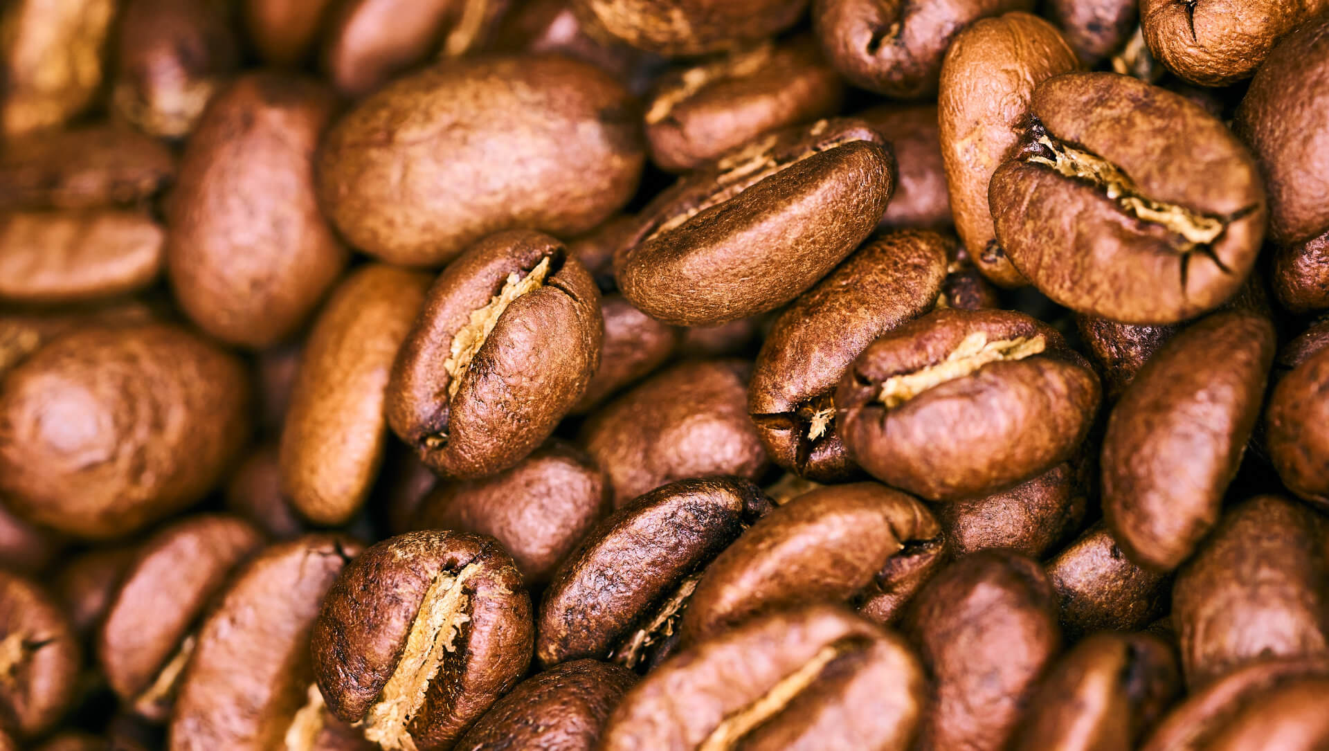 A close up of freashly roasted coffee beans