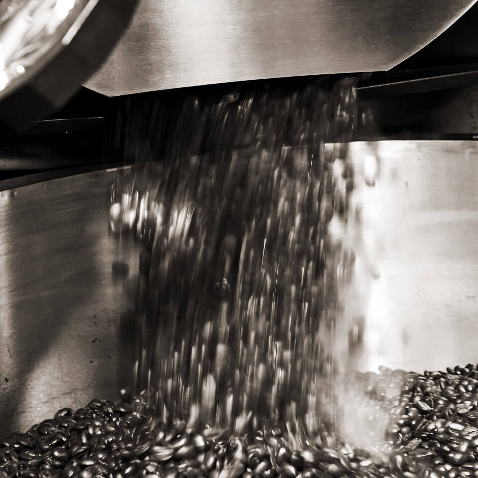 Coffee beans falling from the roaster after roasting.