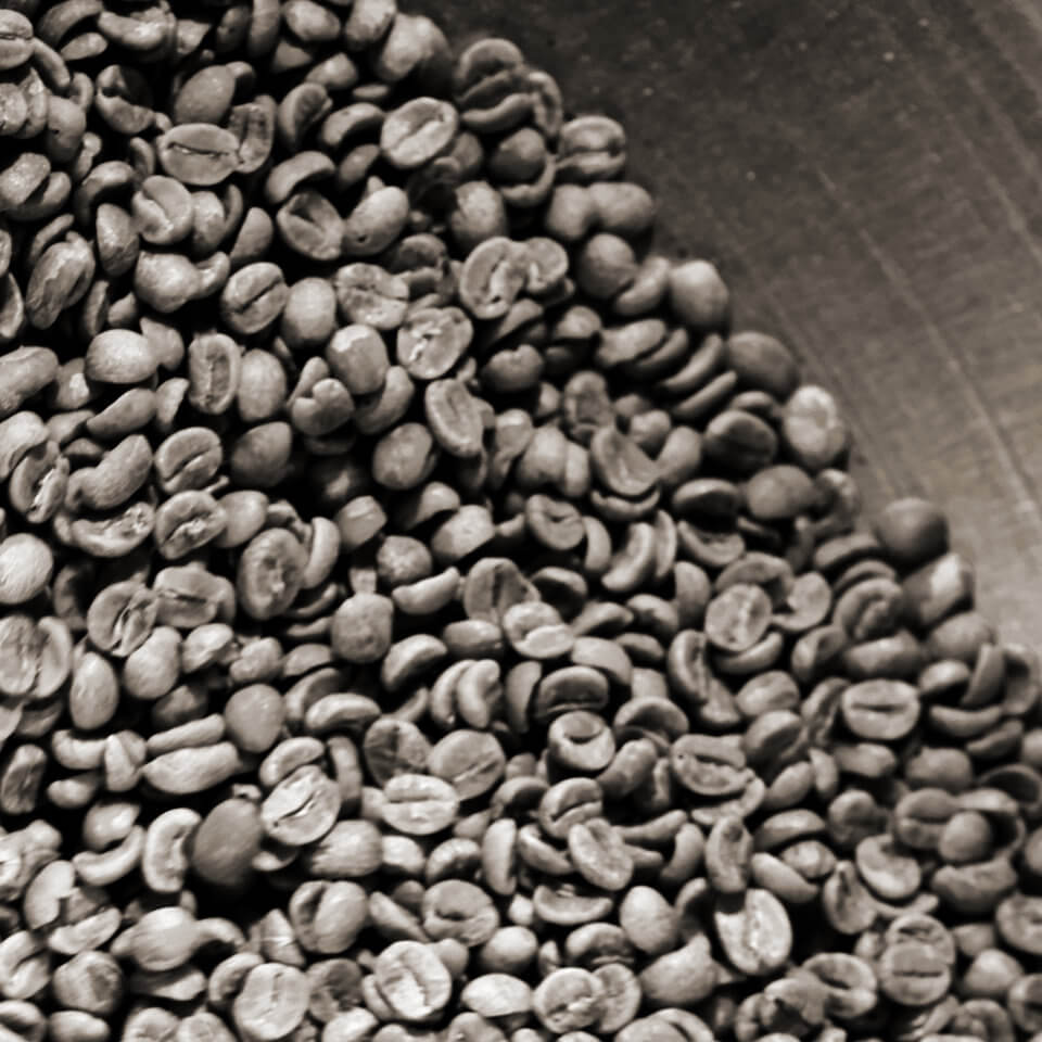 Coffee beans in the cooling drum of the roasting machine.